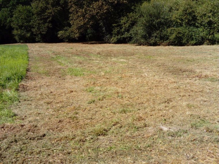 TERRAIN DE 1353 M2 A LIGNAN DE BAZAS