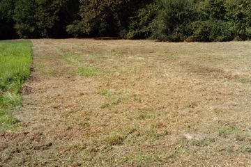 TERRAIN DE 1353 M2 A LIGNAN DE BAZAS
